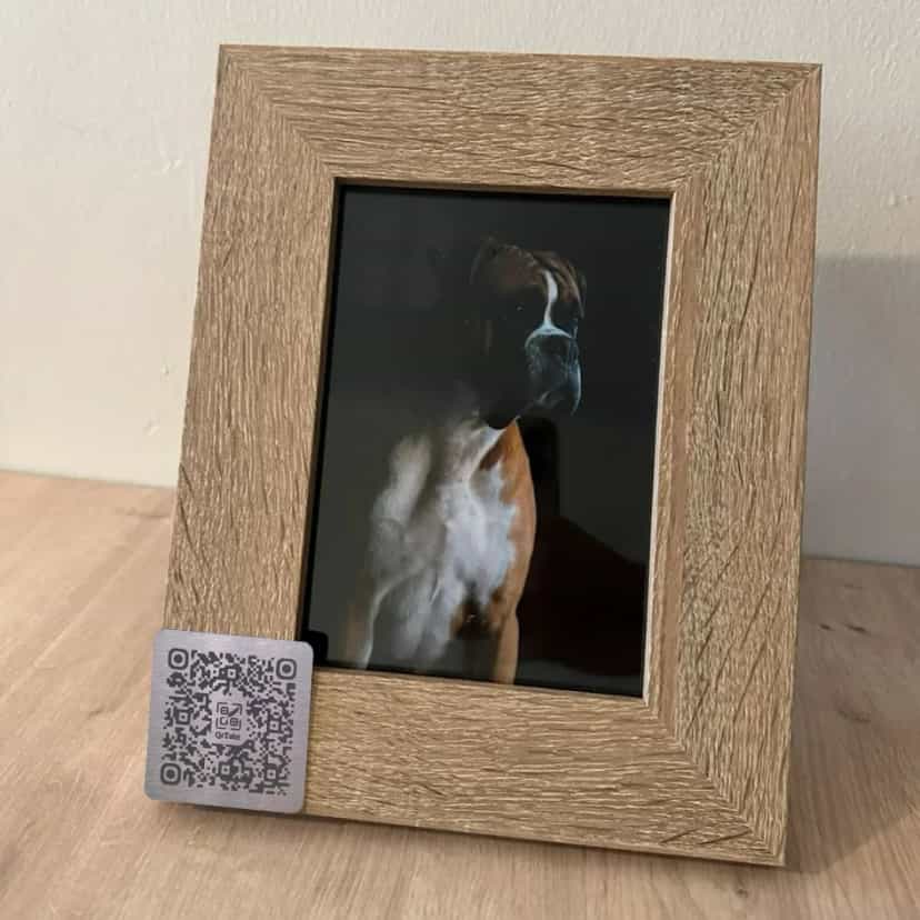 Photo of a dog picture on a frame with a qr code