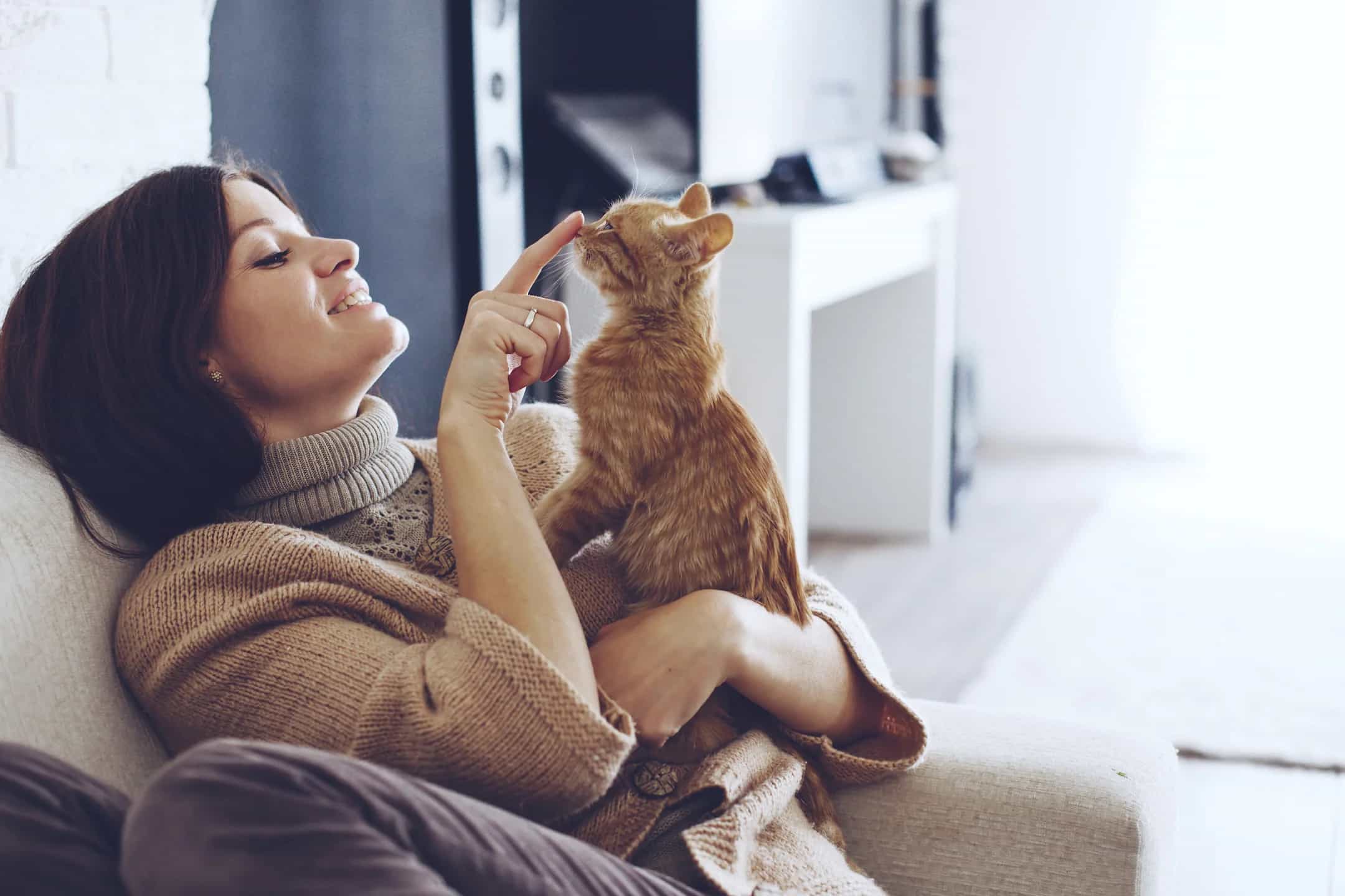 Photo of a woman playing with a cat